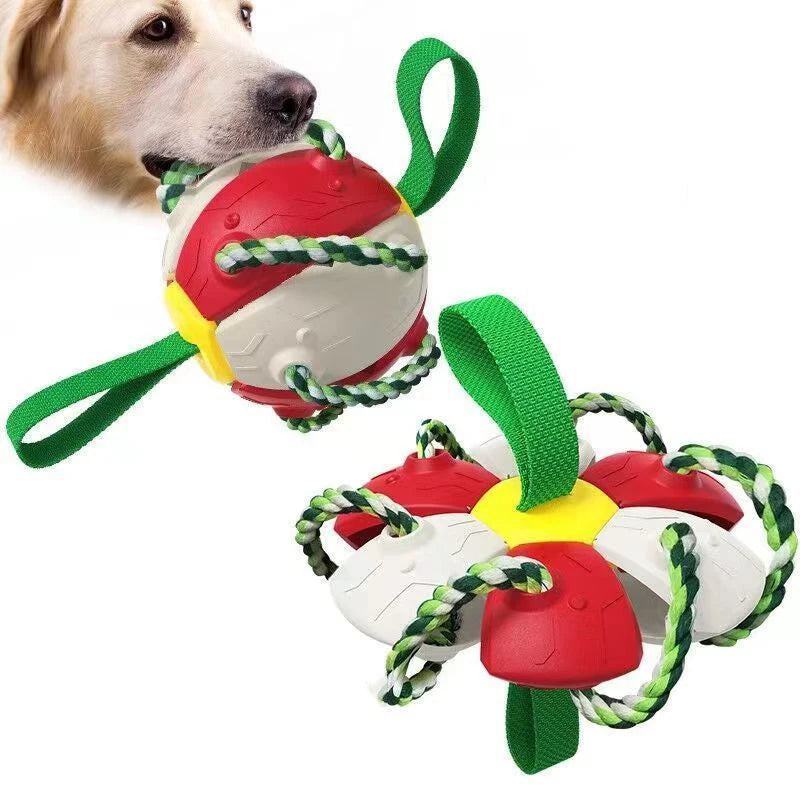 Interactive Flying Disk Ball Dog Toy
