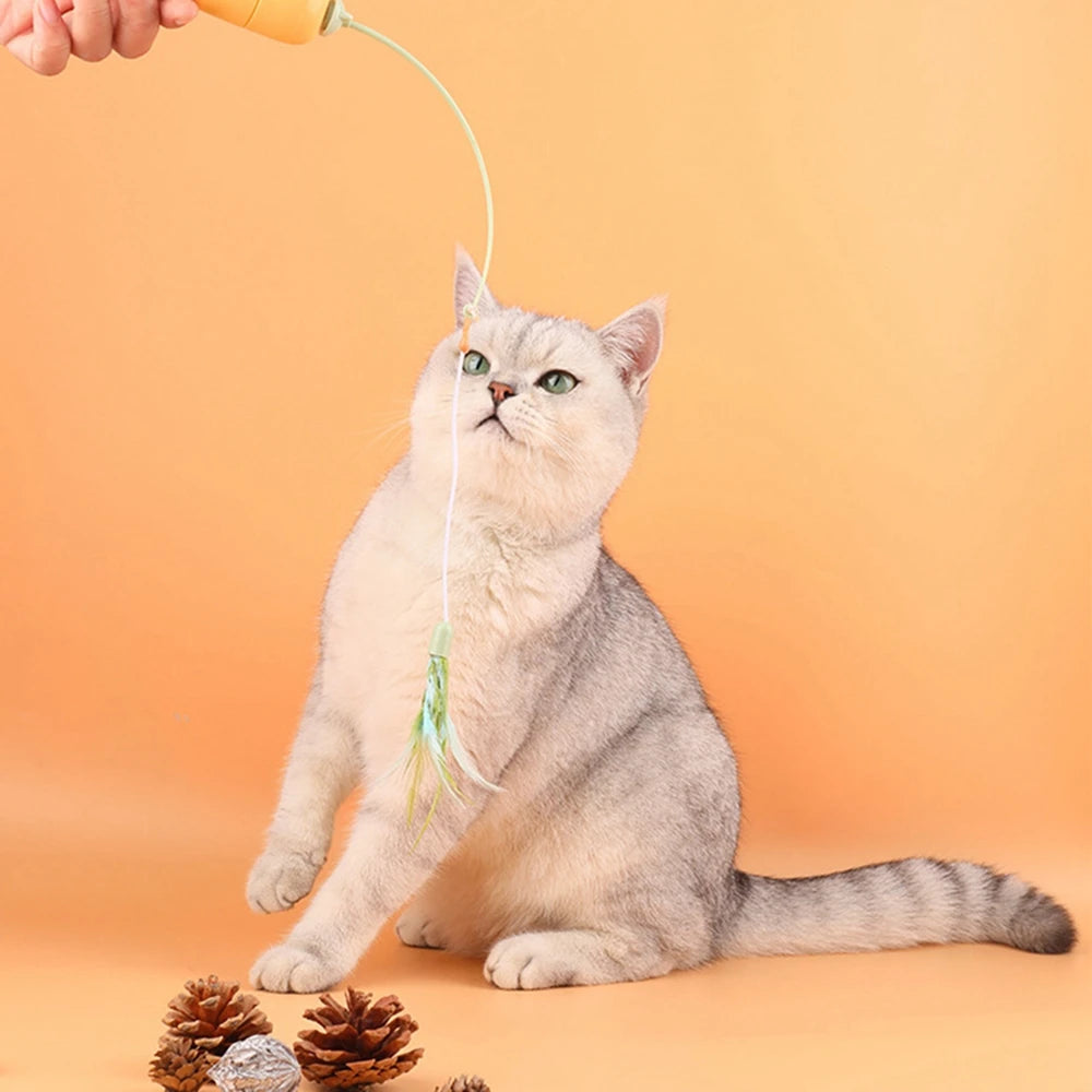 Interactive Cat Toys for Indoor Cats