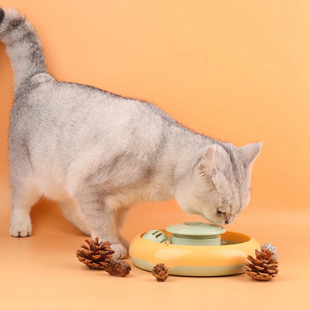 Interactive Cat Toys for Indoor Cats